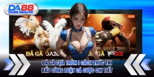 Đá gà cựa tròn