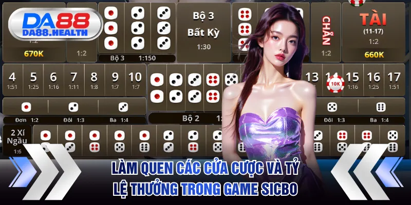 Làm quen các cửa cược và tỷ lệ thưởng trong game Sicbo