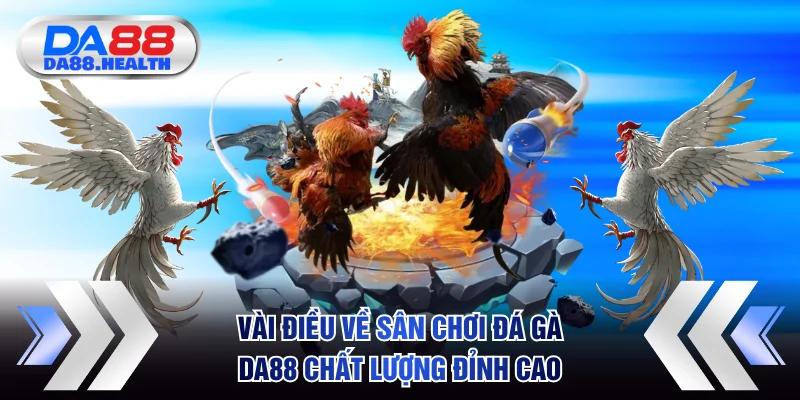 Vài điều về sân chơi đá gà DA88 chất lượng đỉnh cao